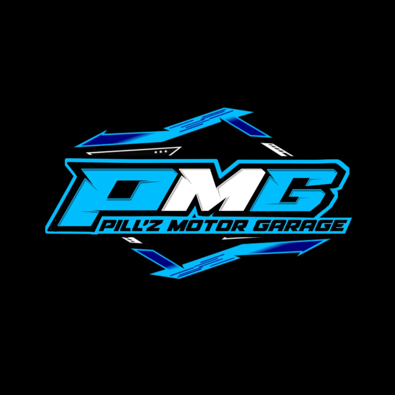 PMG Motor